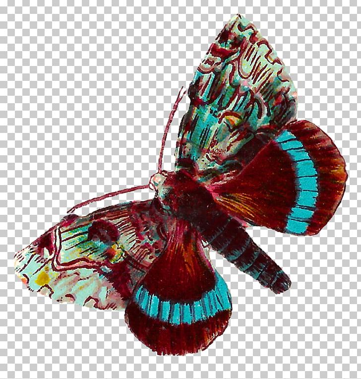 Butterfly Moth Art PNG, Clipart, Antique, Art, Blue, Butterflies And Moths, Butterfly Free PNG Download
