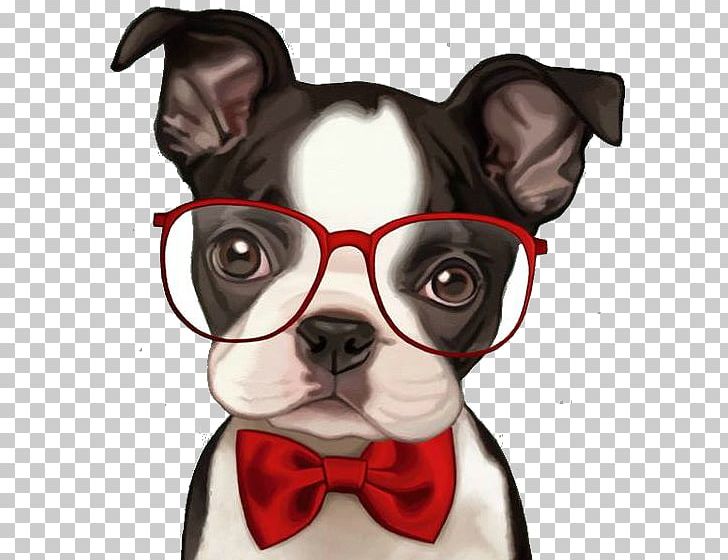 French Bulldog Boston Terrier Pug Puppy PNG, Clipart, Animals, Bichon, Bichon Frise, Bulldog, Carnivoran Free PNG Download