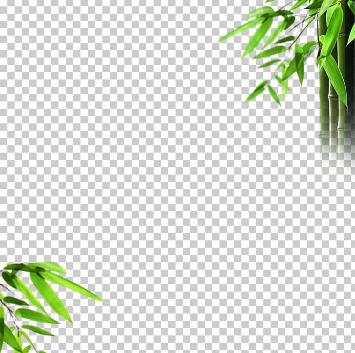 Light Bamboo Mural PNG, Clipart, Angle, Bamboo, Bamboo 19 0 1, Bamboo Border, Bamboo Frame Free PNG Download