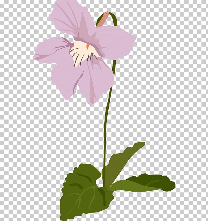 Pansy Mallows Floral Design PNG, Clipart, Annual Plant, Art, Family, Flora, Floral Design Free PNG Download