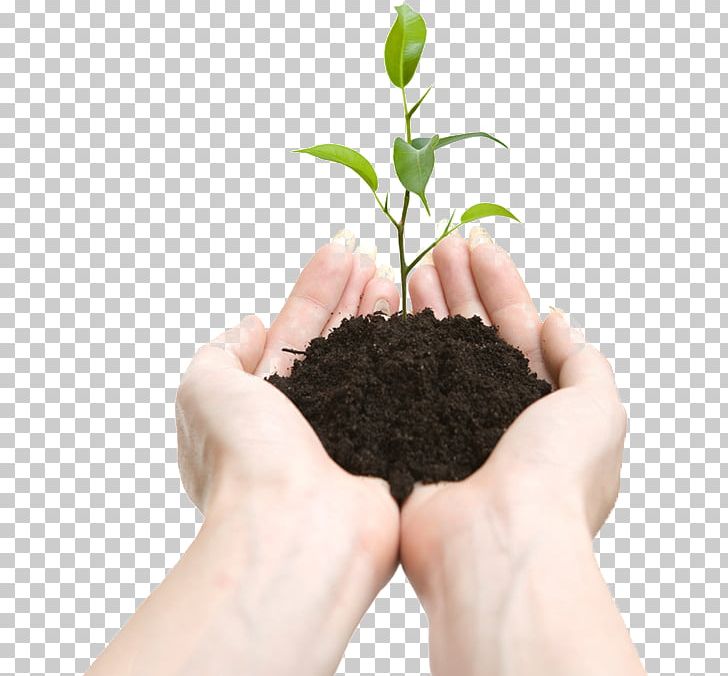 Vermicompost Plant European Union PNG, Clipart, Business, Europe, European Union, Fertilisers, Fine Food Free PNG Download