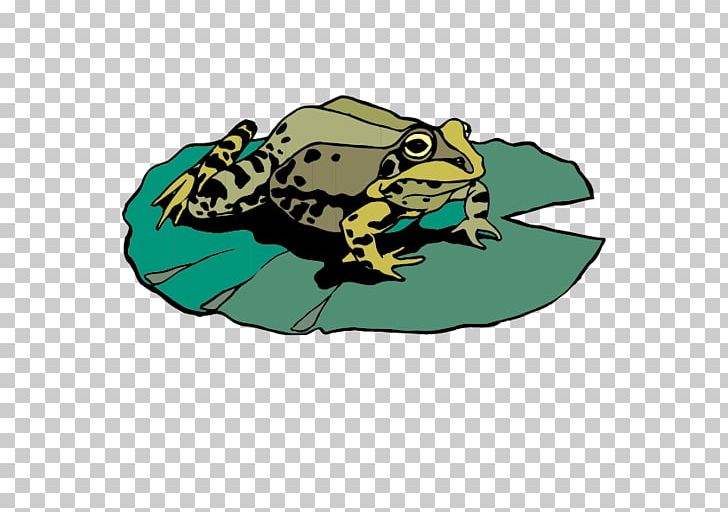 Amphibian Frog Mallard U4e16u754cu91ceu751fu52a8u7269 Duck PNG, Clipart, Animal, Animals, Balloon Cartoon, Boy Cartoon, Brand Free PNG Download