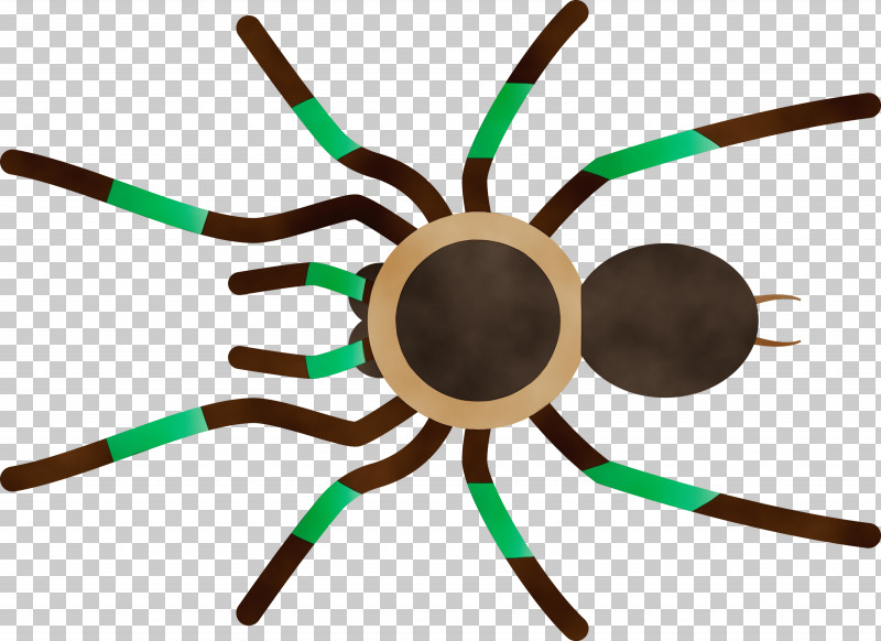 Insect Line PNG, Clipart, Cartoon Spider, Insect, Line, Paint, Watercolor Free PNG Download
