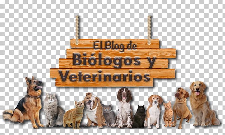 Dog Breed Puppy Veterinary Medicine Pet PNG, Clipart, Animal, Animals, Biologist, Blog, Breed Free PNG Download