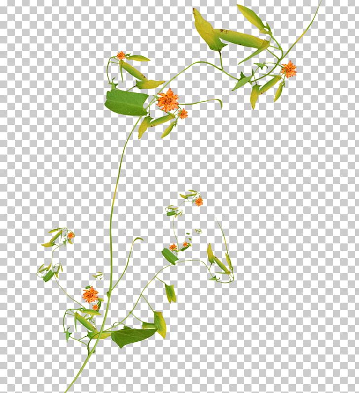 Floral Design Cut Flowers Plant Stem PNG, Clipart, Art, Artwork, Branch, Cut Flowers, Flora Free PNG Download