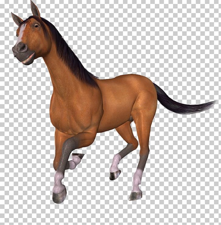 Horse Brush Dither PNG, Clipart, Animals, Art, Artist, Athlete Running, Athletics Running Free PNG Download