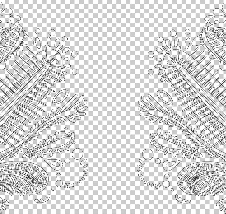 Line Art Drawing Plant PNG, Clipart, Abstract Lines, Aquatic, Aquatic Plant, Area, Black And White Free PNG Download