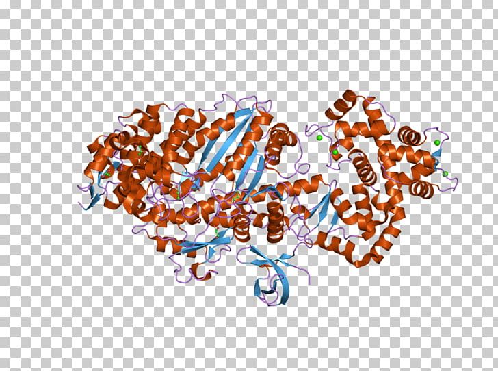 MYO6 Roundworm Myosin Protein PNG, Clipart, Art, Caenorhabditis, Circle, Common Fruit Fly, Crystal Free PNG Download