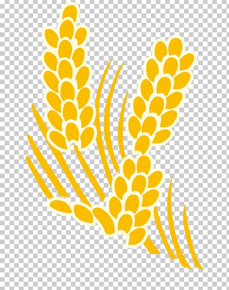 Yellow Rice PNG, Clipart, Area, Encapsulated Postscript, Flower, Hand, Happy Birthday Vector Images Free PNG Download