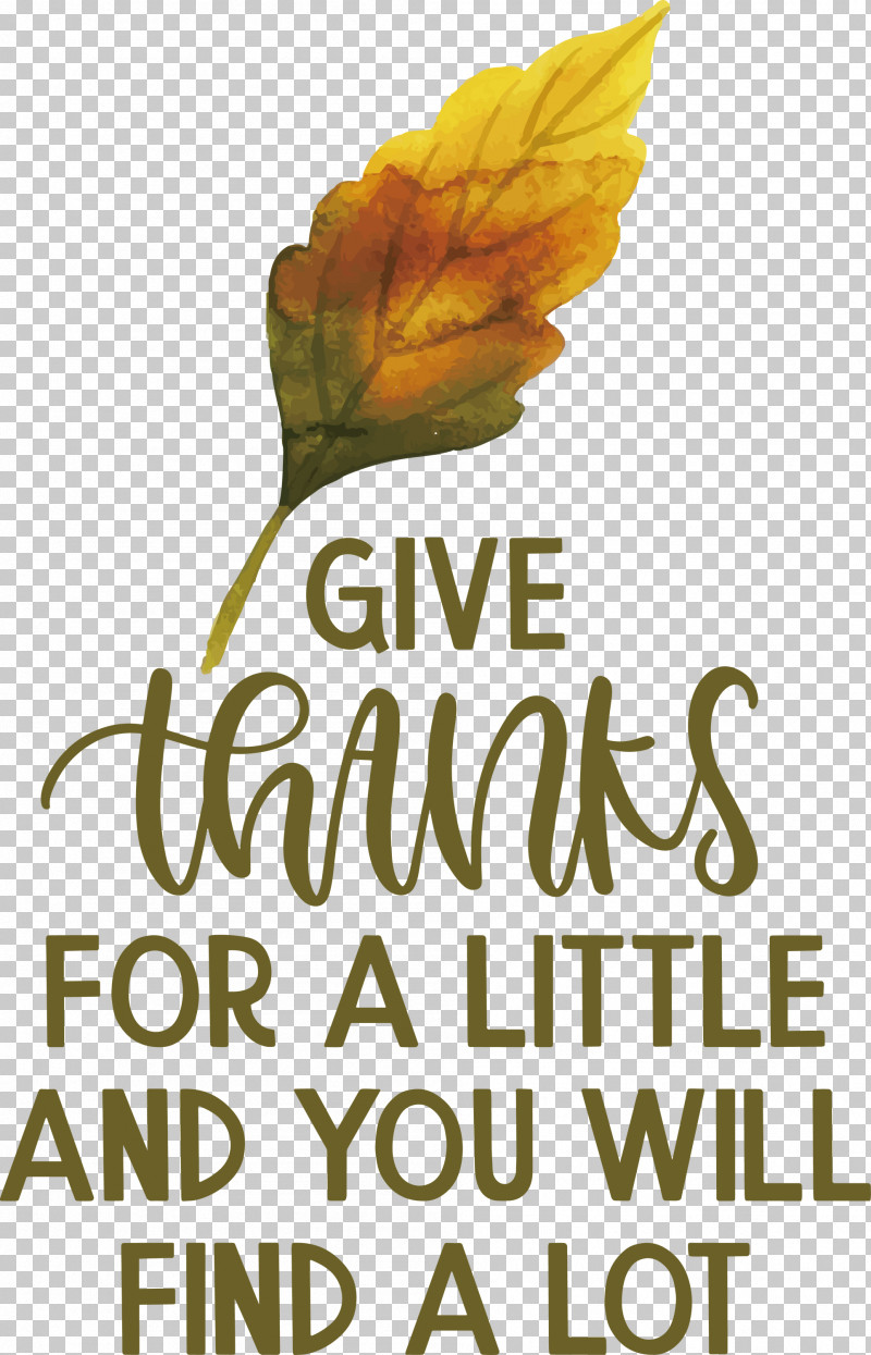 Give Thanks Thanksgiving PNG, Clipart, Biology, Fashion, Flower, Give Thanks, Happiness Free PNG Download