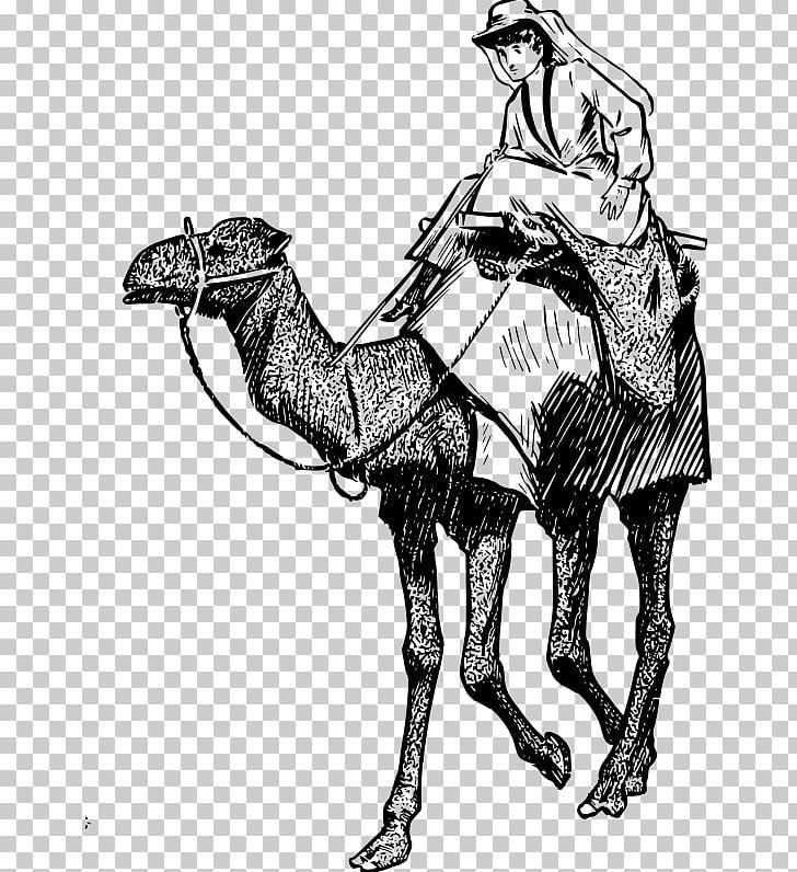 Bactrian Camel Dromedary Equestrian Horse PNG, Clipart, Animals, Art, Black And White, Camel, Camel Like Mammal Free PNG Download