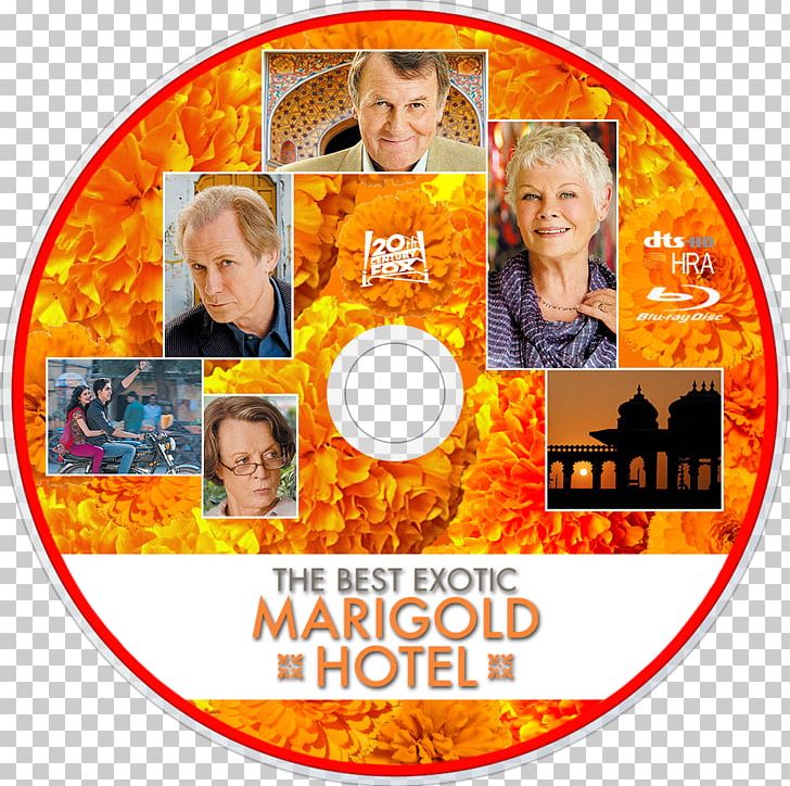 Blu-ray Disc The Best Exotic Marigold Hotel Film Television 20th Century Fox PNG, Clipart, 20th Century Fox, Area, Best Exotic Marigold Hotel, Bill Nighy, Bluray Disc Free PNG Download