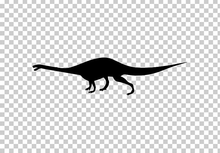 Dinosaur Tyrannosaurus Massospondylus Velociraptor Guanlong PNG, Clipart, Abelisaurus, Beak, Black And White, Cetiosaurus, Dinosaur Free PNG Download