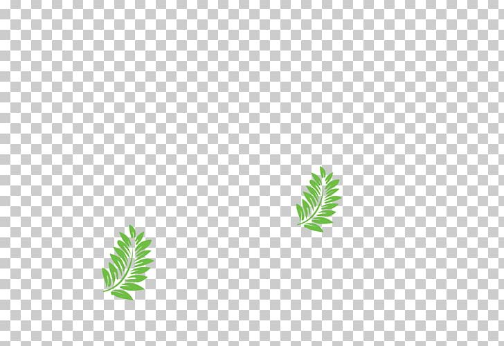 Leaf Plant Stem Font Line Tree PNG, Clipart, Grass, Green, Leaf, Line, Plant Free PNG Download