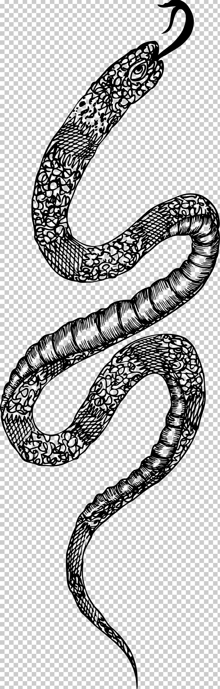 Snake Euclidean Packs PNG, Clipart, Animals, Black And White, Circle, Download, Drawing Free PNG Download