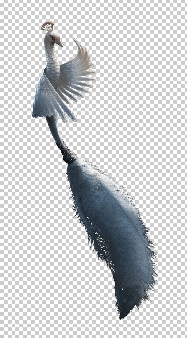 Beast Featherduster Film PNG, Clipart, Art, Beak, Beast, Beauty And The Beast, Bird Free PNG Download