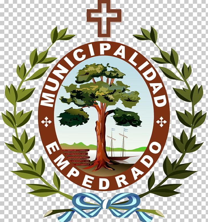 Municipality Of Empedrado Estación Torrent Organization PNG, Clipart, Argentina, Computer Icons, Corrientes Province, Flower, Flowering Plant Free PNG Download