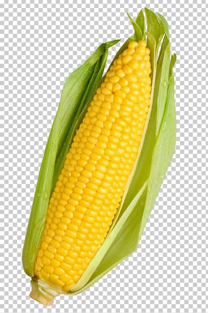 Organic Food Vegetable Maize Baby Corn Sweet Corn PNG, Clipart, Asparagus, Baby Corn, Bell Pepper, Carrot, Commodity Free PNG Download
