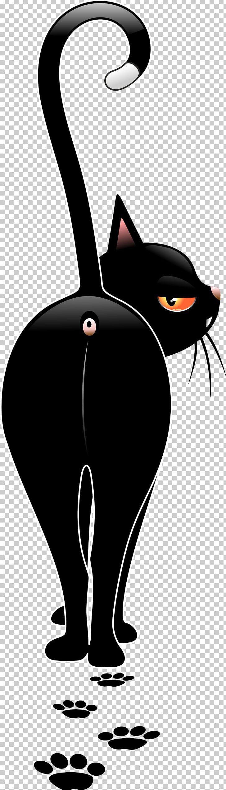 Black Cat Kitten Dog PNG, Clipart, Animals, Background Black, Black, Black And White, Black Back Free PNG Download