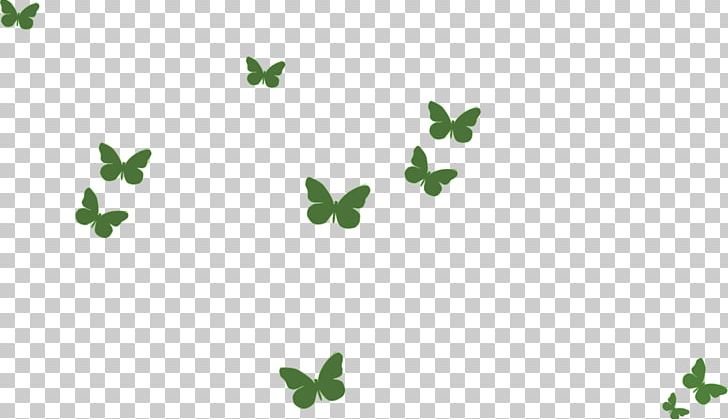 Butterfly Green PNG, Clipart, Background Green, Blue, Branch, Butterflies And Moths, Butterfly Vector Free PNG Download
