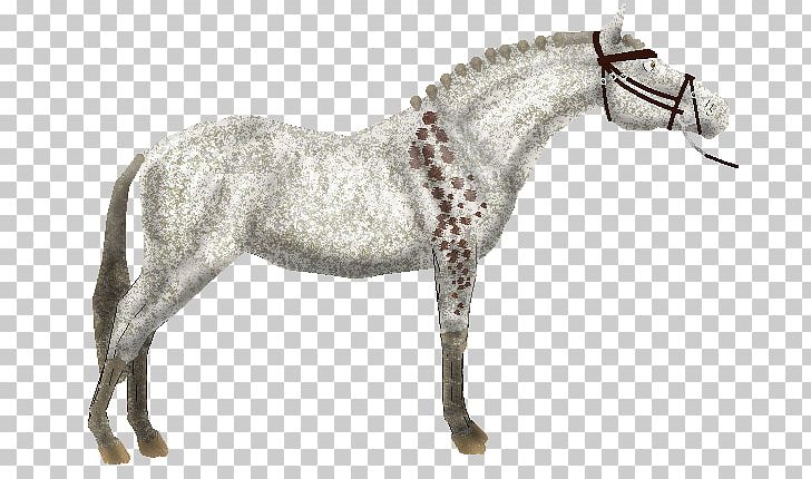Mane Mustang Stallion Rein Pony PNG, Clipart, Acres, Animal Figure, Bridle, Bright Lights, Burn Free PNG Download