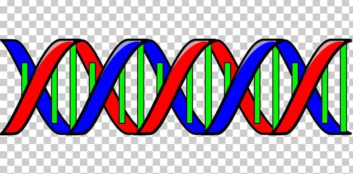 Nucleic Acid Double Helix DNA PNG, Clipart, Area, Brand, Dna, Dnau2013dna Hybridization, Drawing Free PNG Download