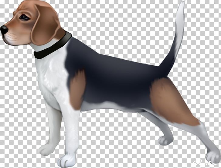 Harrier Finnish Hound English Foxhound Beagle Pin-up Girl PNG, Clipart, American Foxhound, Animal, Art, Beagle Harrier, Cari Free PNG Download