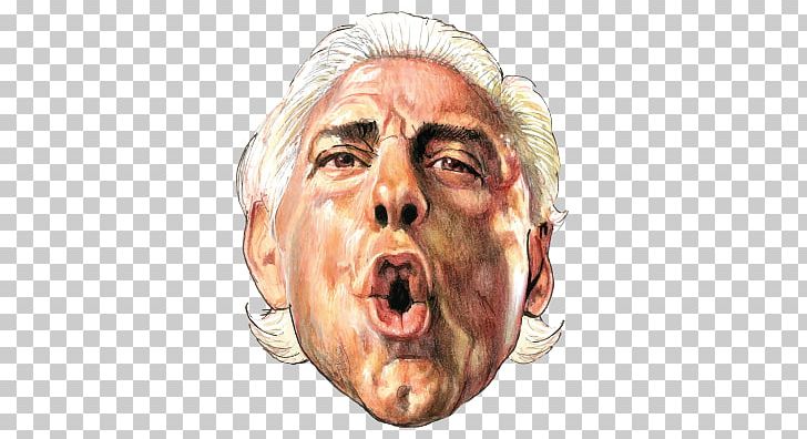 Ric Flair To Be The Man World Heavyweight Championship WWE Championship Professional Wrestler PNG, Clipart, Face, Head, Miscellaneous, Others, Professional Wrestling Free PNG Download