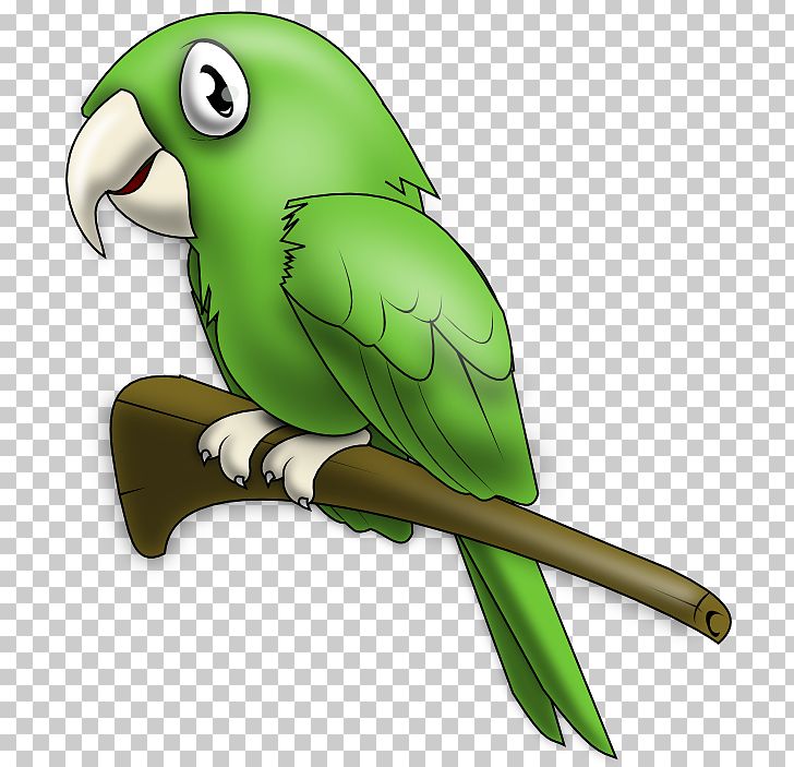 True Parrot Lovebird PNG, Clipart, Beak, Bird, Clip Art, Clipart, Companion Parrot Free PNG Download