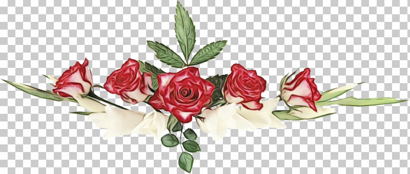 Garden Roses PNG, Clipart, Cut Flowers, Floral Line, Flower, Flower Background, Flower Border Free PNG Download
