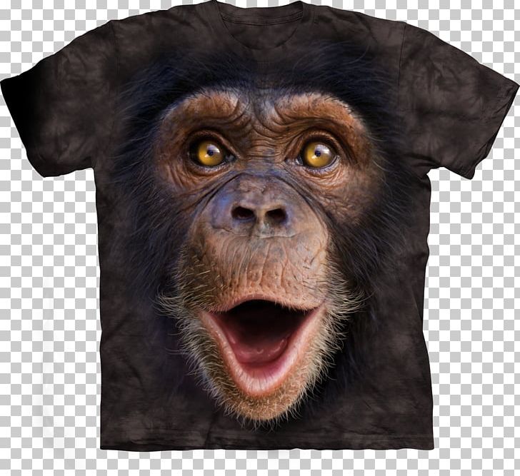 Printed T-shirt Hoodie Clothing PNG, Clipart, Brand, Chimp, Chimpanzee, Clothing, Clothing Accessories Free PNG Download