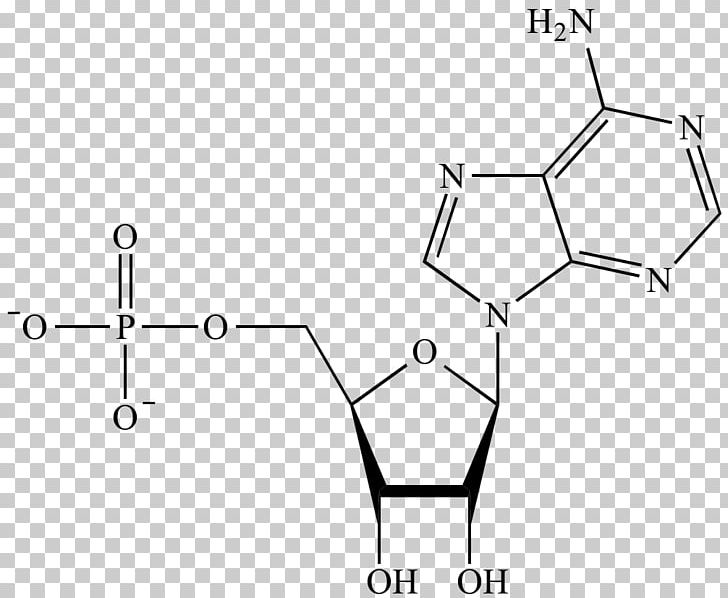 Adenosine Monophosphate Nucleotide Acid DNA Chemistry PNG, Clipart, Acid, Adenine, Adenosine, Adenosine Monophosphate, Adenosine Triphosphate Free PNG Download