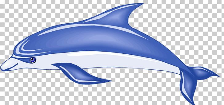 Dolphin PNG, Clipart, Animal, Blue, Bottlenose Dolphin, Common Bottlenose Dolphin, Dolphin Free PNG Download
