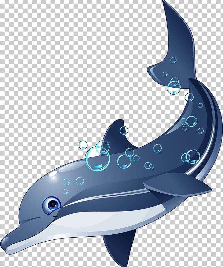 Dolphin Riddle Coloring Book Fish PNG, Clipart, Animals, Cartilaginous Fish, Coloring Book, Dolphin, Fin Free PNG Download