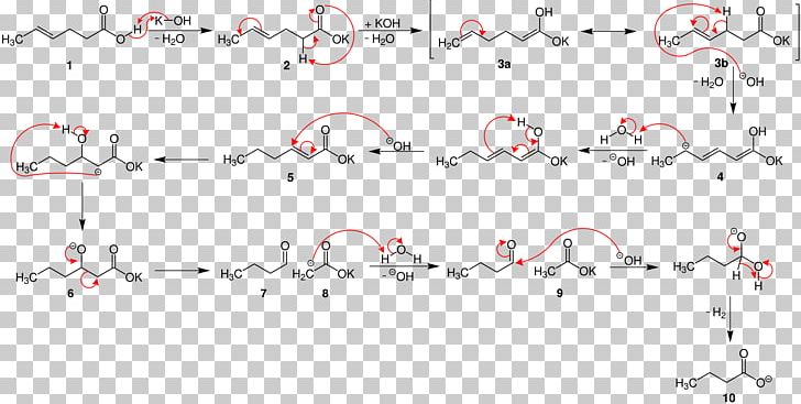 Varrentrapp Reaction Chemical Reaction Potassium Hydroxide Acid Name Reaction PNG, Clipart, Acetic Acid, Acid, Aldol Condensation, Angle, Area Free PNG Download