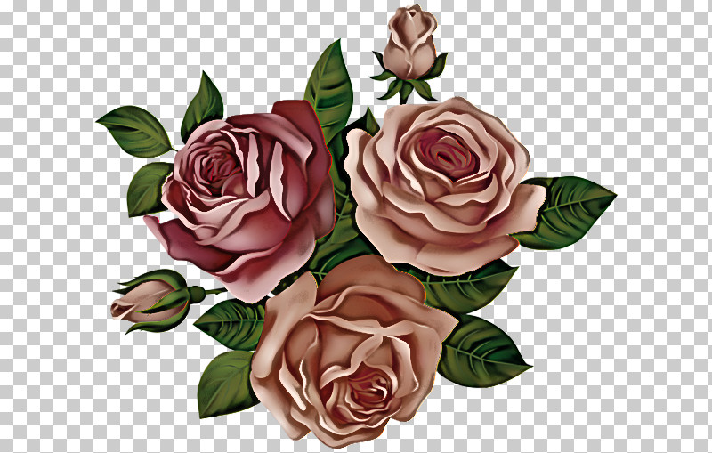 Garden Roses PNG, Clipart, Artificial Flower, Bouquet, Camellia, Cut Flowers, Floral Design Free PNG Download