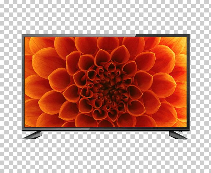 LED-backlit LCD High-definition Television 1080p Smart TV PNG, Clipart, 60 Hz, 1080p, B T, Dahlia, Flower Free PNG Download