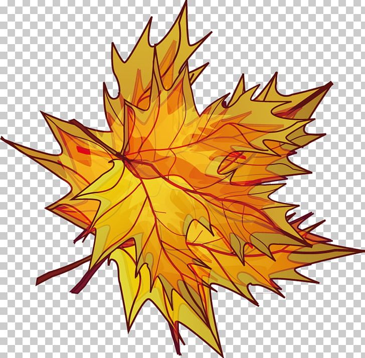 Maple Leaf Illustration PNG, Clipart, Autumn, Autumn Leaf, Chemical Element, Fall, Flowering Plant Free PNG Download