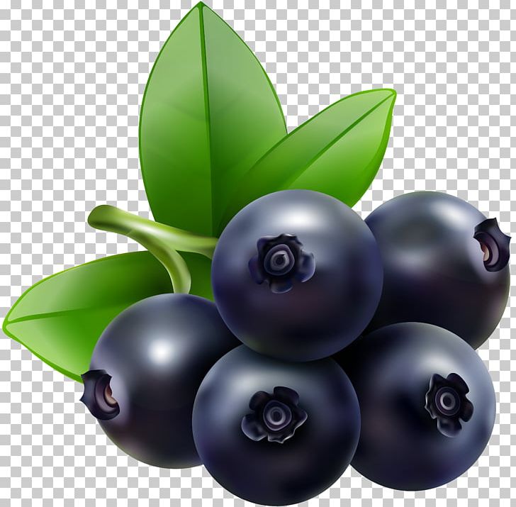 Blueberry Bilberry Huckleberry PNG, Clipart, Apple, Berry, Bilberry, Blueberry, Clip Art Free PNG Download