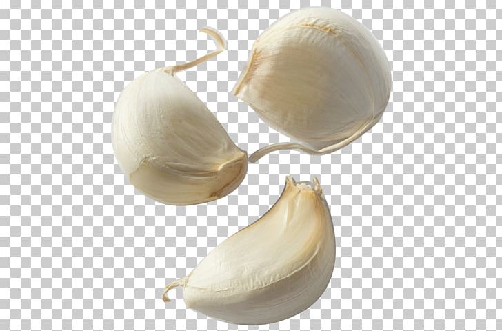 Garlic Bread Clove Condiment Onion PNG, Clipart, Bulb, Clove, Condiment, Eating, Europe Free PNG Download