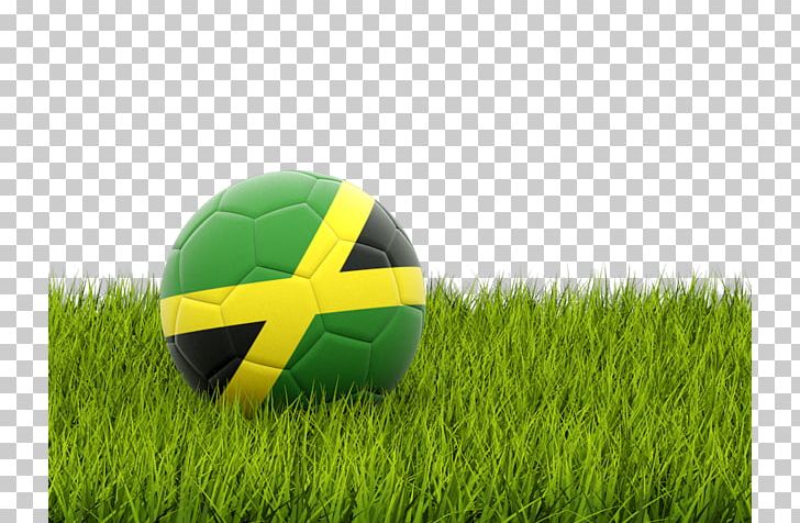 Serbia National Football Team Senegal FIFA World Cup Arabian Gulf Cup PNG, Clipart, Artificial Turf, Computer Wallpaper, Fifa World Cup, Flag, Football Player Free PNG Download