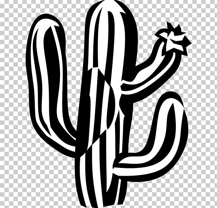 Black And White Graphics Illustration PNG, Clipart, Artwork, Black And White, Cactus, Calligraphy, Emf Free PNG Download