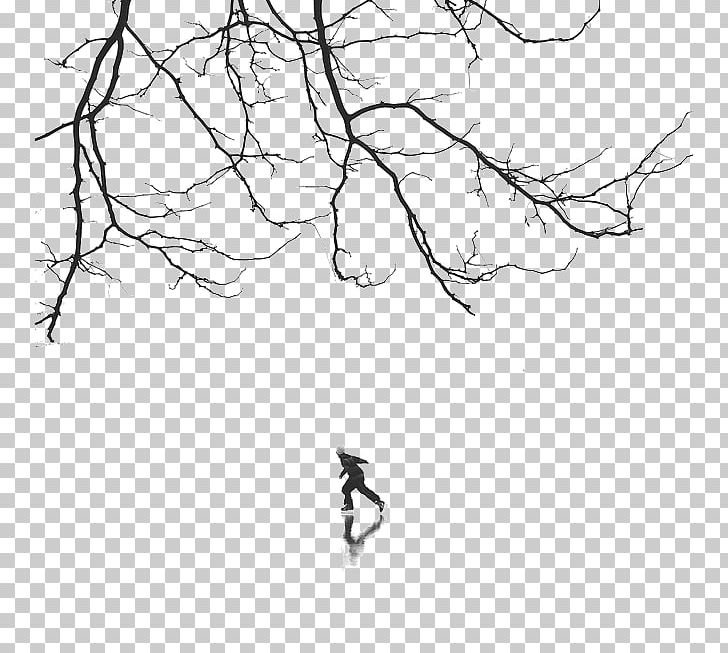 Black And White PNG, Clipart, Area, Background, Black, Branch, Dongzhi Free PNG Download