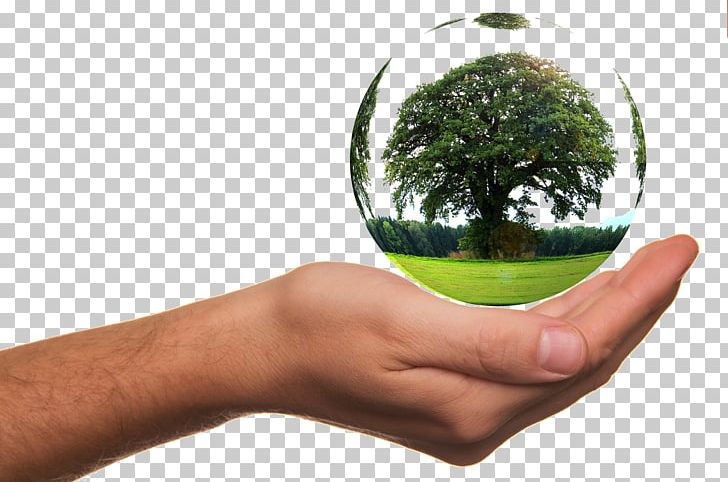 Environmental Protection Conservation Natural Environment Nature Environmental Toxicology PNG, Clipart, Biodegradation, Corporate Social Responsibility, Ecology, Energy, Environmental Health Free PNG Download