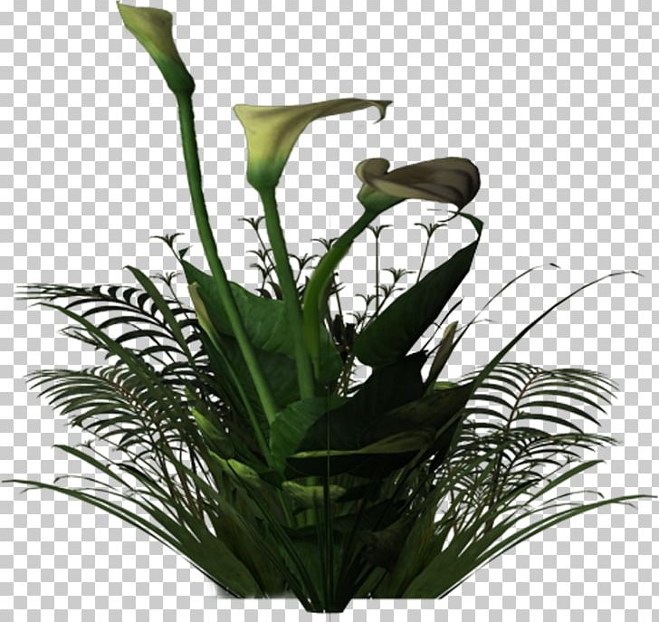Floral Design Flowerpot Cut Flowers Plant Stem Houseplant PNG, Clipart, Calla, Cut Flowers, Family, Flora, Floral Design Free PNG Download
