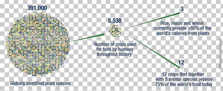 Production System Agricultural Biodiversity Green Revolution PNG, Clipart, Angle, Area, Bioversity International, Cost, Diagram Free PNG Download