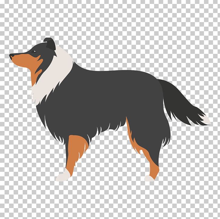 Shetland Sheepdog Old English Sheepdog Australian Shepherd Australian Kelpie Border Collie PNG, Clipart, Australian Shepherd, Border Collie, Carnivoran, Collie, Dog Free PNG Download