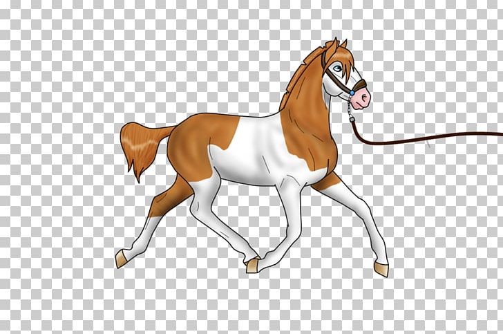Foal Mane Stallion Colt Mare PNG, Clipart, Bridle, Cartoon, Character, Colt, Fictional Character Free PNG Download