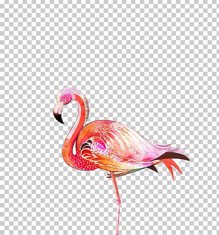 Greater Flamingo Bird Illustration PNG, Clipart, Animals, Beak, Beautiful, Beyoncxe9, Bird Free PNG Download