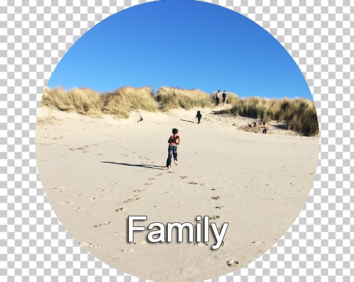 Vacation Travel Family Tourism: Multidisciplinary Perspectives PNG, Clipart, Adventures By Disney, Aeolian Landform, Child, Dune, Family Free PNG Download